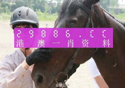 澳門(mén)一肖一碼一l必開(kāi)一肖|內(nèi)部釋義解釋落實(shí)