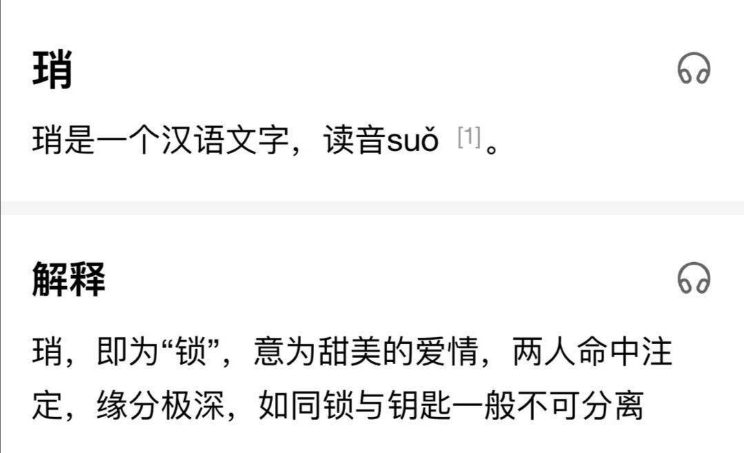 澳門一碼一肖一待一中四不像，能耐釋義解釋落實