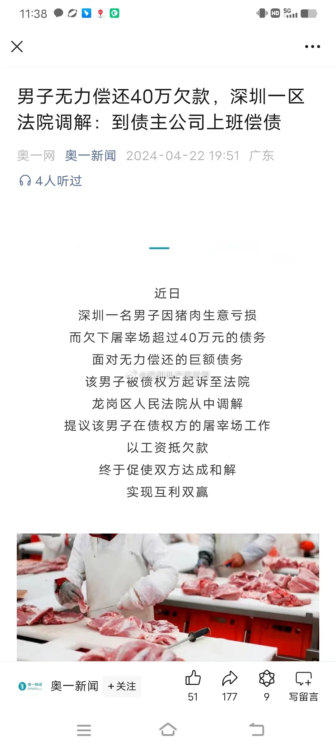 一肖一碼一一肖一子在深圳，瞬時釋義、解釋與落實